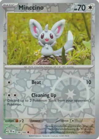 136 - Minccino - TEF