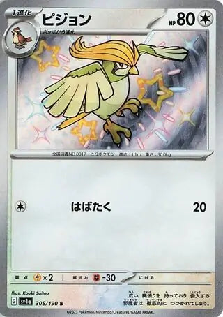 305 - Pidgeotto - sv4a