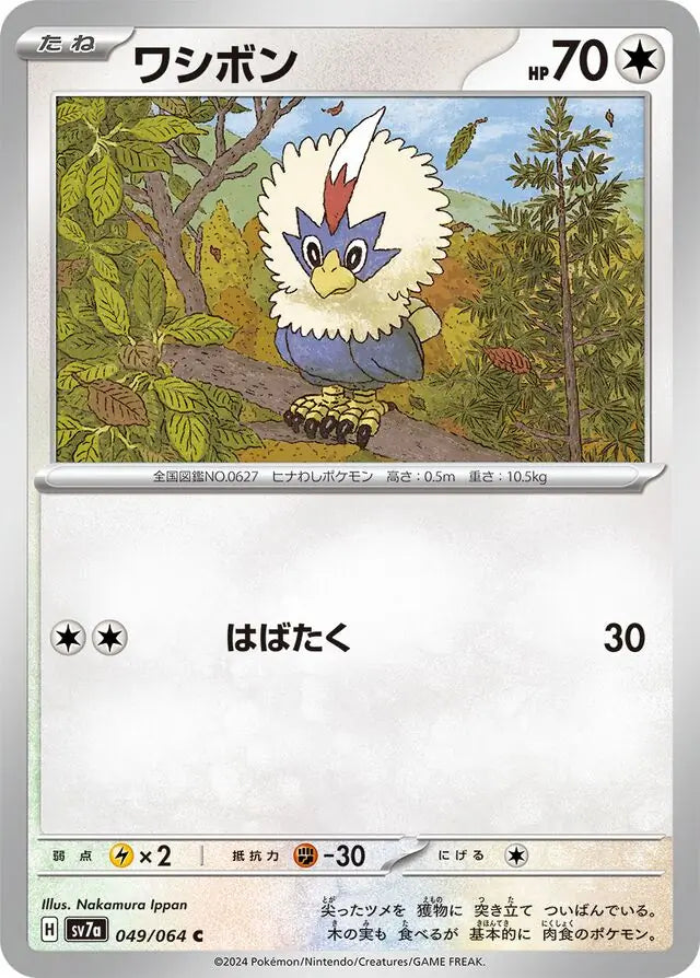 049 - Rufflet - sv7a