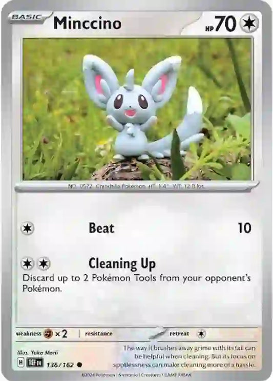 136 - Minccino - TEF