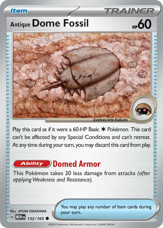 152 - Antique Dome Fossil - MEW