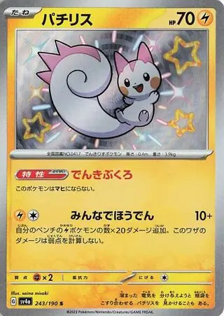 243 - Pachirisu - sv4a