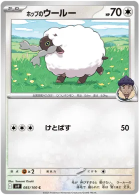 085 - Hop's Wooloo - sv9