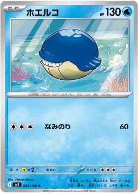 024 - Wailmer - sv9